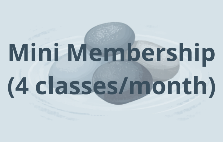 Mini Membership (4/mo) Monthly